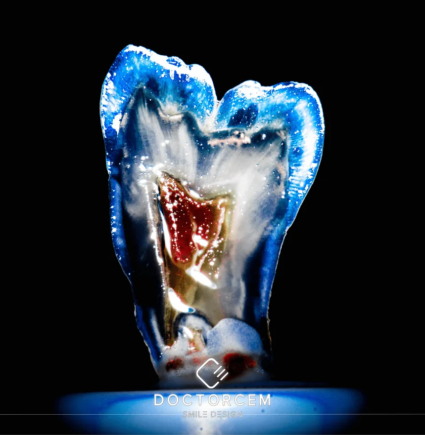 Clean modern dental laboratory environment