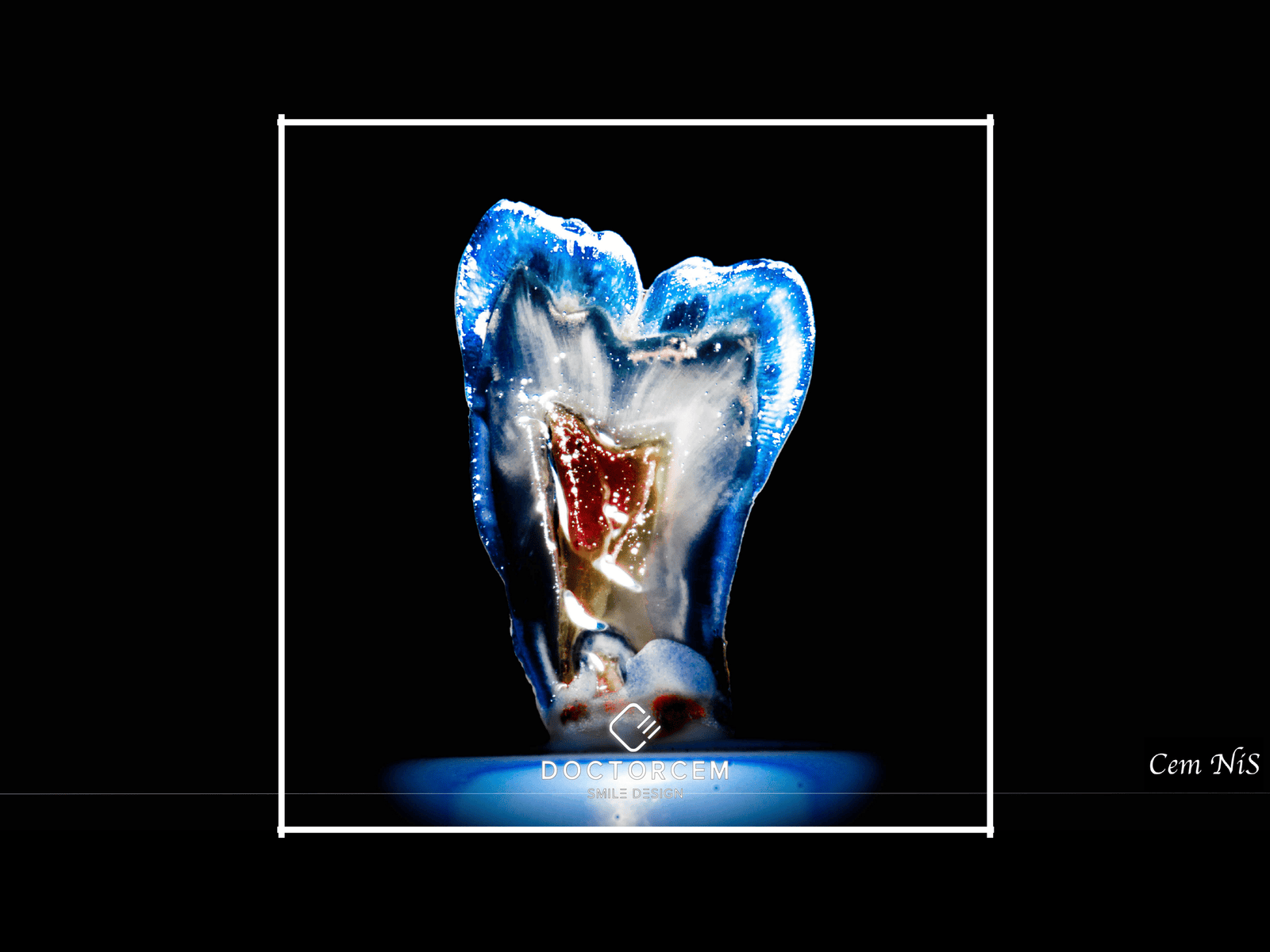 Clean modern dental laboratory environment